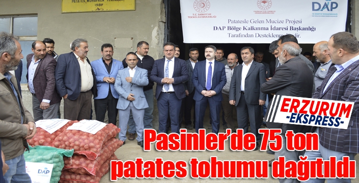 Pasinler’de 75 ton patates tohumu dağıtıldı