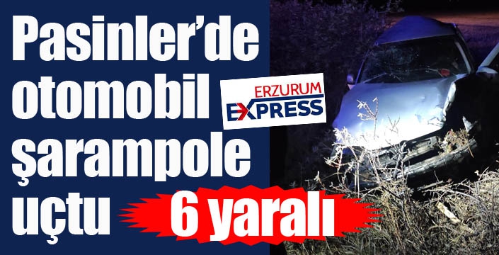 Pasinler’de otomobil şarampole uçtu: 6 yaralı