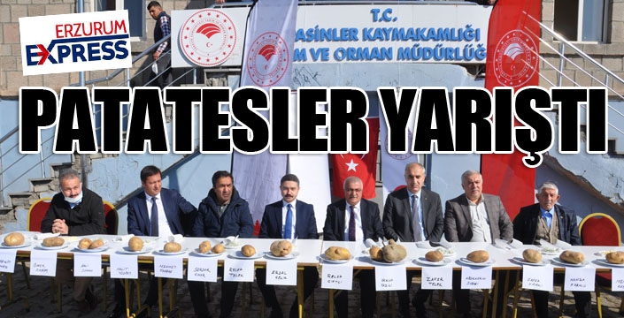 Pasinler’de patates yarışması düzenlendi