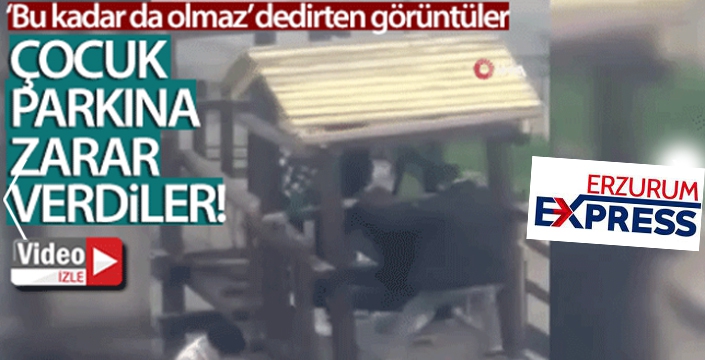 Pes dedirten görüntü