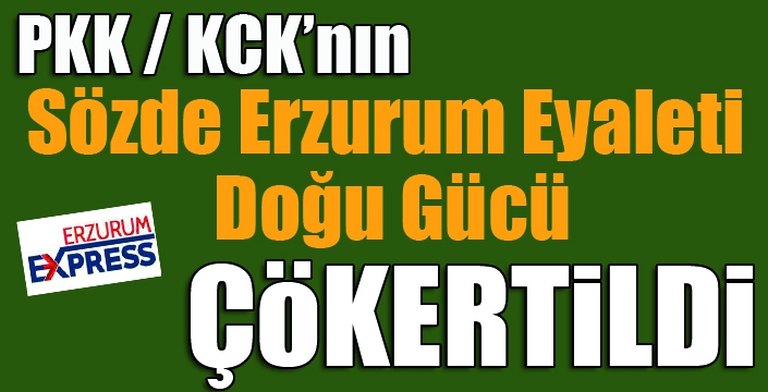 PKK'nın sözde Erzurum Eyaleti Doğu Gücü çökertildi...