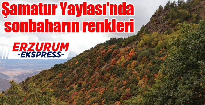 Şamatur Yaylası'nda sonbaharın renkleri