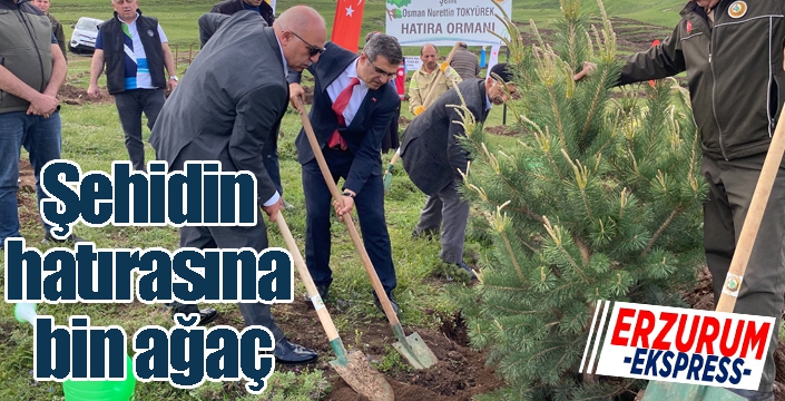 Şehidin hatırasına bin ağaç