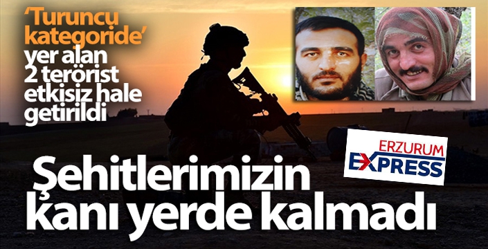 Şehitlerimizin kanı yerde kalmadı