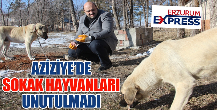 Soğuk havanın etkili olduğu Erzurum’da kazanlar sokak hayvanları için kaynadı