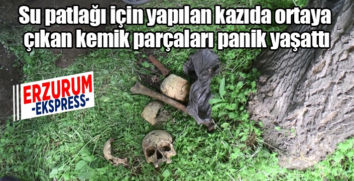 Su patlağı için yapılan kazıda ortaya çıkan kemik parçaları panik yaşattı