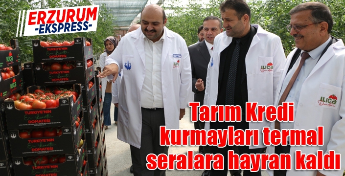 Tarım Kredi kurmayları termal seralara hayran kaldı