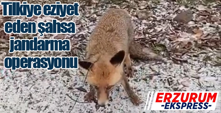 Tilkiye eziyet eden şahsa jandarma operasyonu