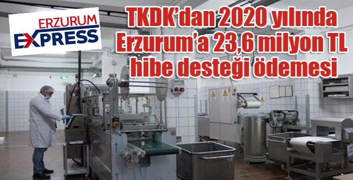 TKDK’dan 2020 yılında Erzurum’a 23,6 milyon TL hibe desteği ödemesi