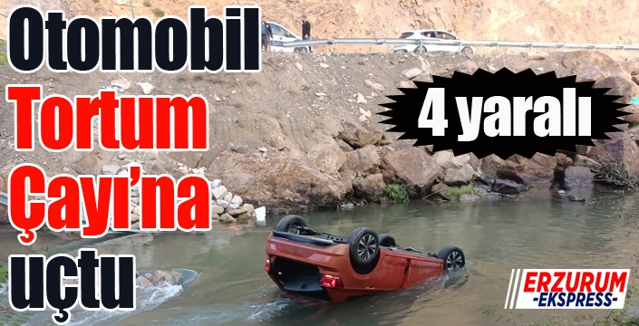 Tortum Çayı'na araç uçtu, 4 kişi yaralandı