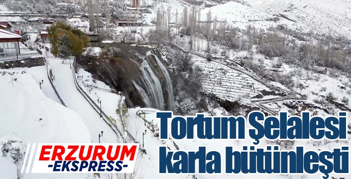 Tortum Şelalesi karla bütünleşti