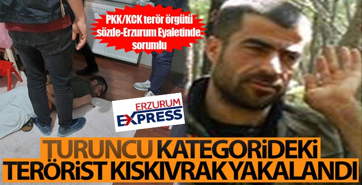 Turuncu Kategorideki PKK/KCK terör örgütü mensubu yakalandı
