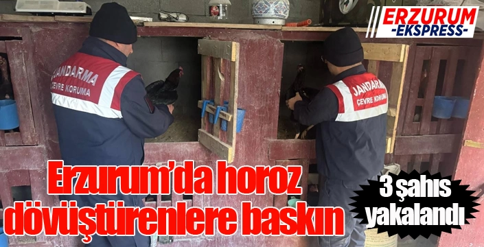 Uzundere’de horoz dövüştüren 3 şahıs yakalandı