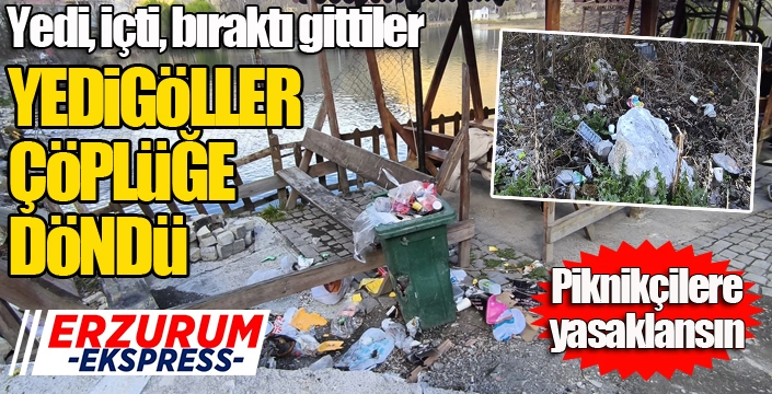Uzundere Yedigöller Mesire Alanı çöplüğe döndü