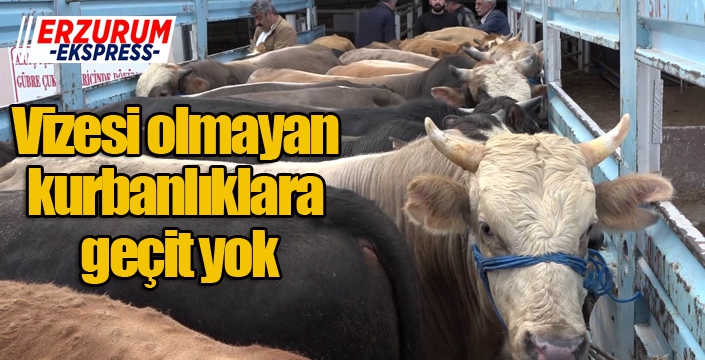 Vizesi olmayan kurbanlıklara geçit yok