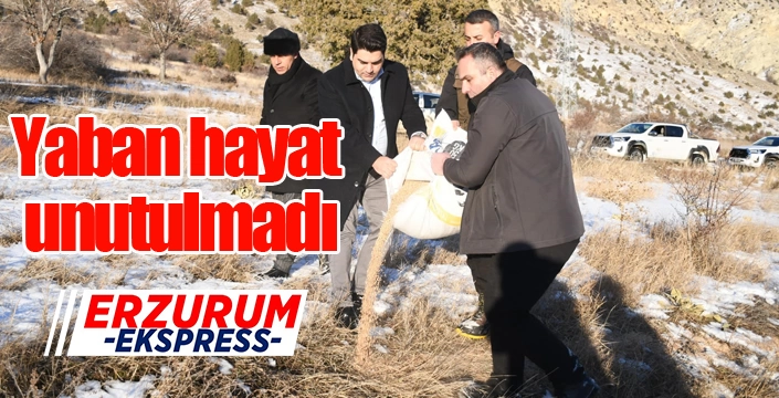 Yaban hayat unutulmadı