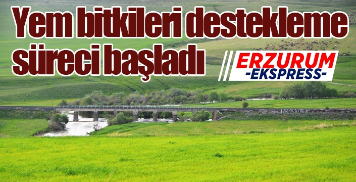 Yem bitkileri destekleme süreci başladı