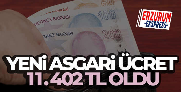 Yeni asgari ücret 11.402 TL oldu