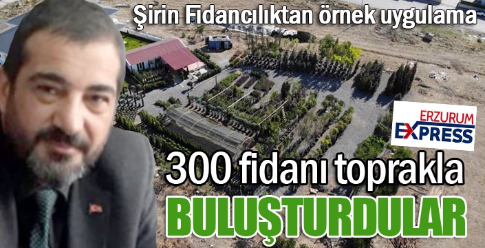 Yeşil mücadeleye bir destek de Erzurum'dan... Şirin fidancılık 300 fidanı toprakla buluşturdu...