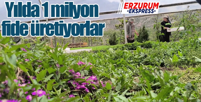 Yılda 1 milyon fide üretiyorlar